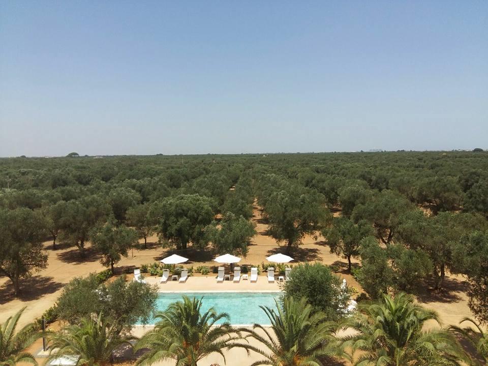Tenuta Afra Squinzano Luaran gambar